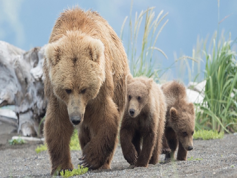 试管可以少用药么(测阳性的试管)
